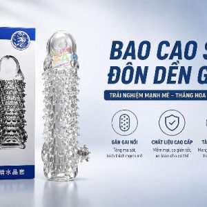 BAO CAO SU ĐÔN DÊN AICHAO VẢY RỒNG – TĂNG KÍCH THƯỚC VÀ KÍCH THÍCH CỰC MẠNH